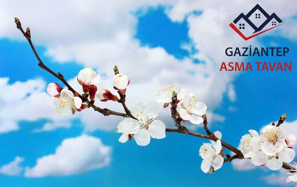 Gaziantep Asma Tavan - Yapı Dekorasyon - Asma Tavan Modelleri