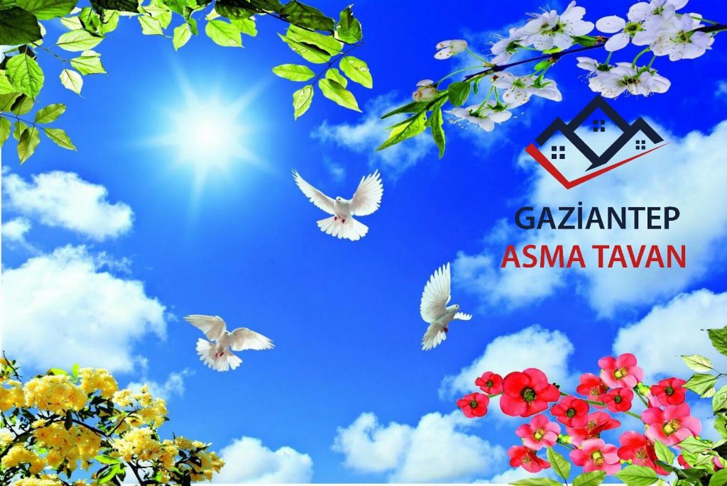 Gaziantep Asma Tavan - Yapı Dekorasyon - Asma Tavan Modelleri